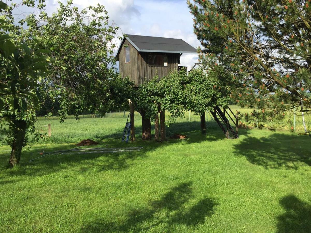 Zurueck Zur Natur... Vollrathsruhe Exteriör bild